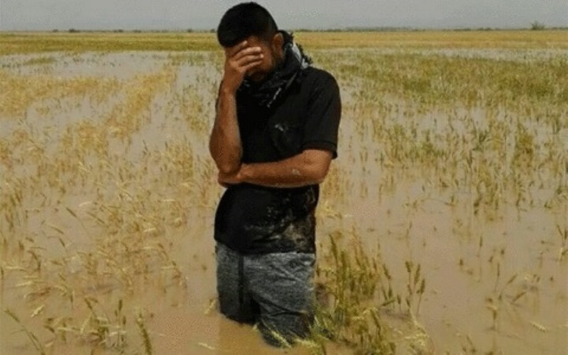 خسارت سیل به کشاورزی خوزستان از 9 هزار میلیارد ریال گذشت