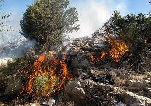 کاهش ۸۷ درصدی آتش سوزی ها در پارک ملی دز