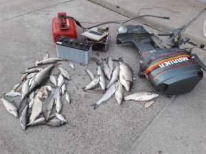 دستگیری عاملین صید غیرمجاز ماهی با شوک الکتریکی در رودخانه گرگر شوشتر