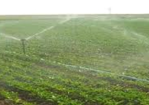 عملکرد بیش از صد درصدی مدیریت آب و خاک سازمان جهاد کشاورزی در جشنواره شهید رجایی خوزستان