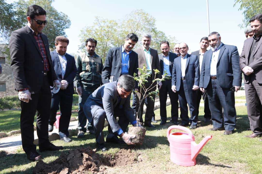در حاشیه مراسم روز درختکاری صادر شد:‏ دستور احمد محمدی برای توسعه فضای سبز اماكن صنعتی مناطق نفتخیز جنوب