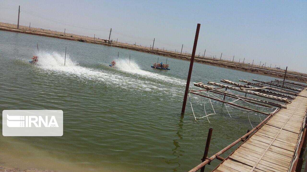 سهم ۱۰درصدی خوزستان در صنعت آبزی‌پروری کشور