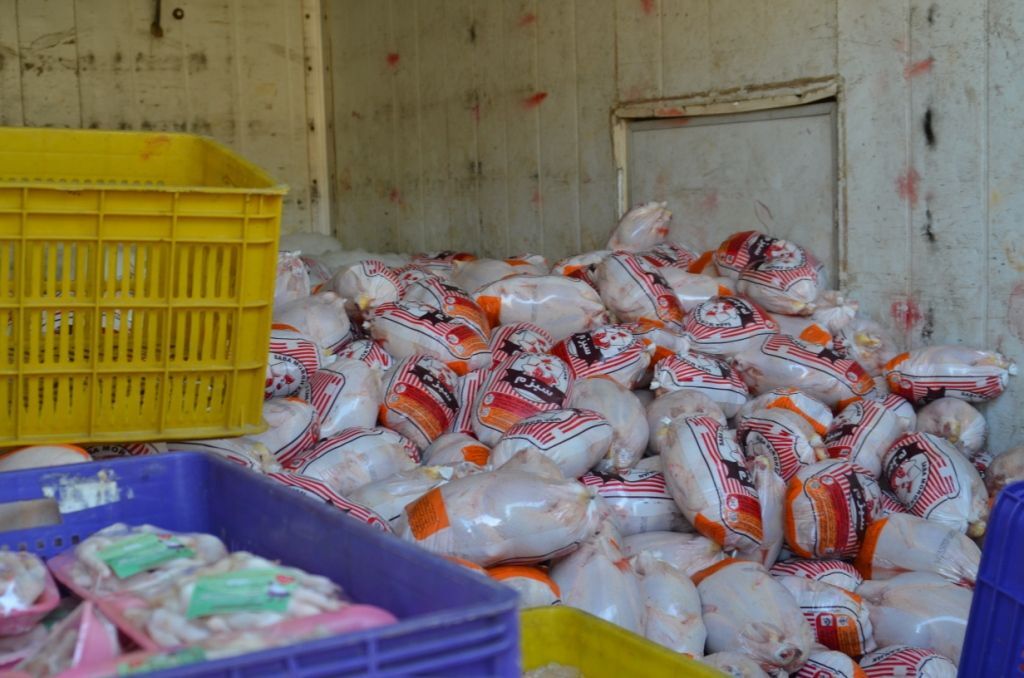 توزیع ۵۰تن مرغ منجمد با قیمت مصوب در خوزستان شروع شد