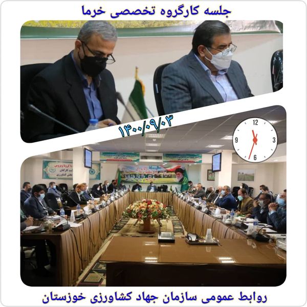 راه‌اندازی کمیته سه گانه تولید، صنعت و صادرات لازمه تولید خرما در خوزستان