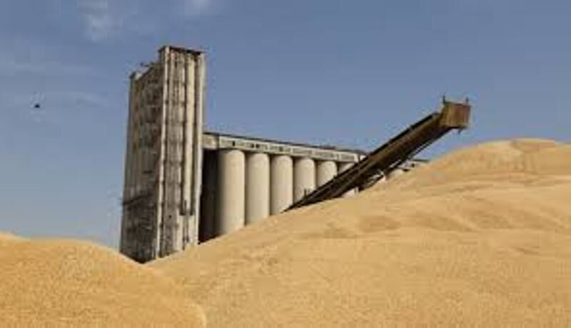 ۴۲ هزار تن گندم در سیلوهای خوزستان ذخیره سازی شد
