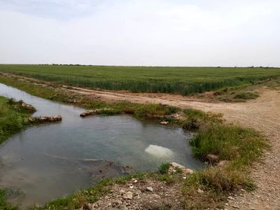 ادامه روند تأمین آب فصل زمستانه ۱۴۰۱ – ۱۴۰۰ اراضی تحت پوشش شبکه آبیاری شمال شرق اهواز