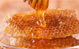 پیش‌بینی تولید بیش از ۳ هزار تن عسل در خوزستان