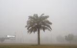 لغو هفت پرواز فرودگاه اهواز به دلیل مه