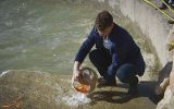 ۳۵۰ هزار قطعه بچه ماهی در دریاچه سد مسجدسلیمان رهاسازی شد