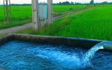 عقد قرارداد آب برای کشت انواع محصولات در شمال خوزستان در ۴۷ هزار هکتار