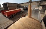 حمل بیش از ۶۰۰۰ تن گندم با قطار به استان‌های کشور