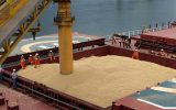 واردات ۱۴۰ هزار تن گندم از طریق بندر امام به کشور